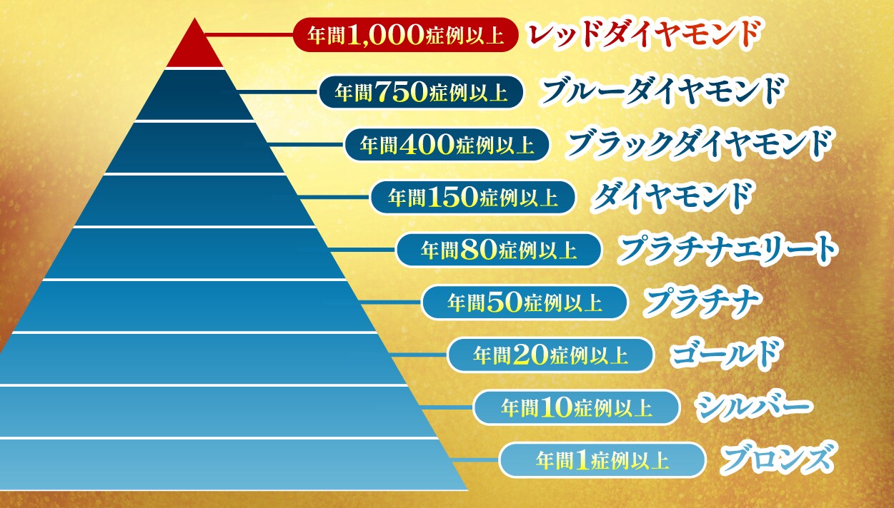 プロバイダー制度の有無